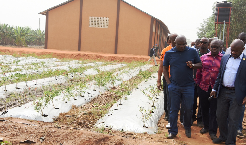 Lagos State Governor, Mr. Akinwunmi Ambode (left); Attorney General & Commissioner for Justice, Mr. Adeniji Kazeem (middle) and Permanent Secretary, Ministry of Agriculture, Dr. Shakirudeen Olayiwola (right) during the Governor’s inspection of the Agric-YES (Songai Model Farm) at Avia-Igborosun in Badagry, Lagos